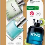 WhatsApp Image 2025-09-05 at 8.41.22 AM