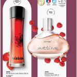 WhatsApp Image 2025-09-05 at 8.41.22 AM (3)