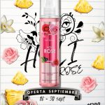 WhatsApp Image 2025-09-18 at 4.33.11 PM (2)