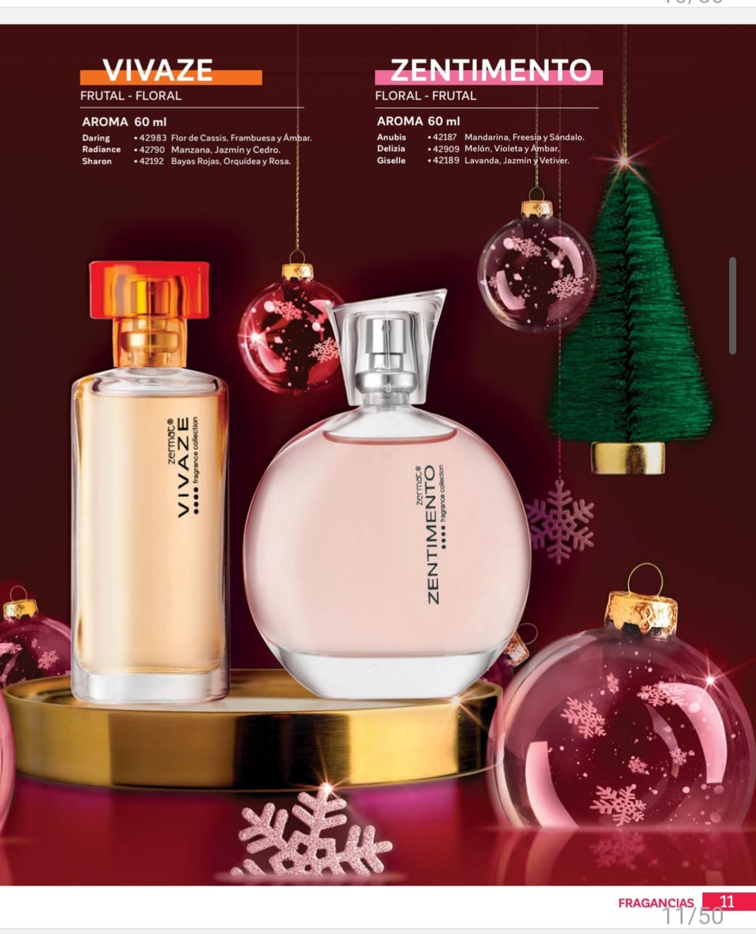 WhatsApp Image 2025-11-25 at 4.14.45 PM (2)