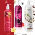 WhatsApp Image 2025-11-25 at 4.14.48 PM